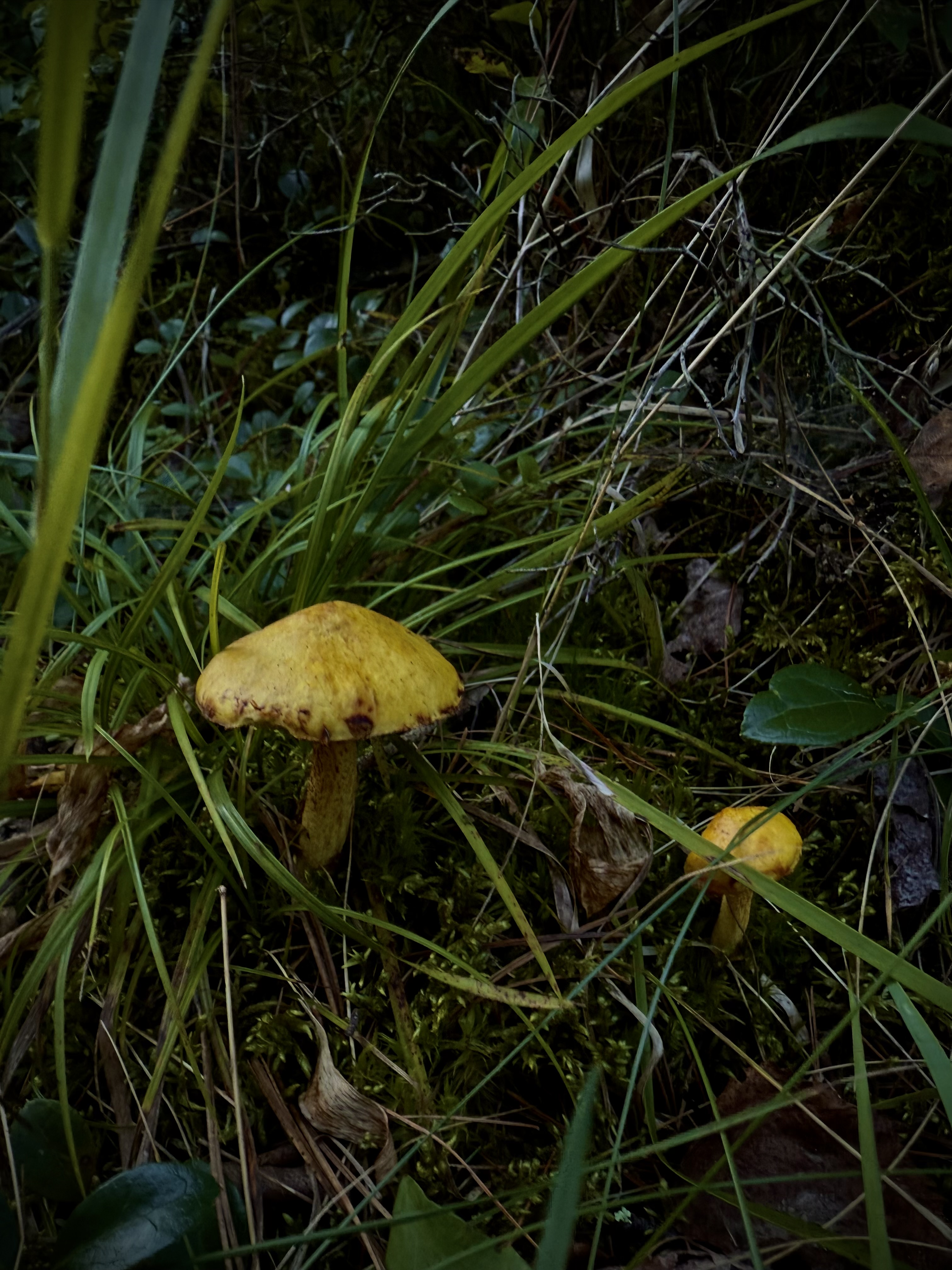 Vertical featured image